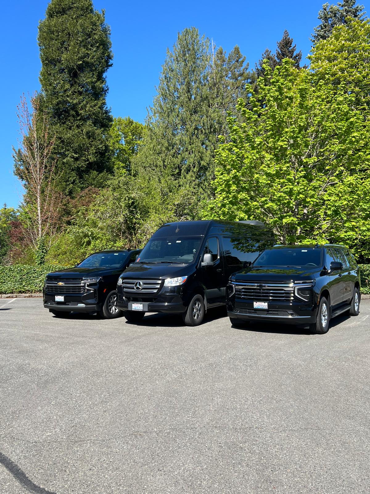 Executive Car Service black car service Seattle fleet — Chevrolet Suburban, Mercedes Sprinter van, and luxury SUV parked outdoors in Bellevue WA